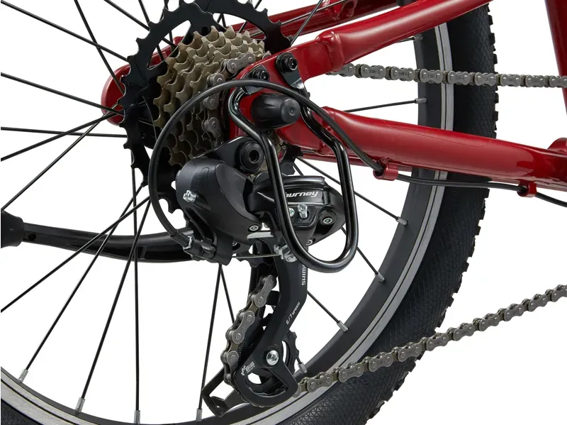 Liv Tempt 20 Lite Mountain Bike in Dried Chili-1