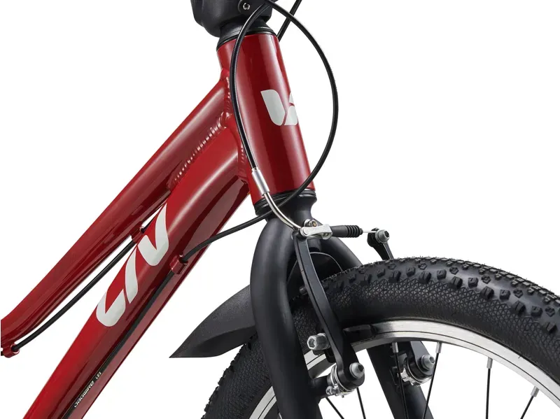 Liv Tempt 20 Lite Mountain Bike in Dried Chili-2