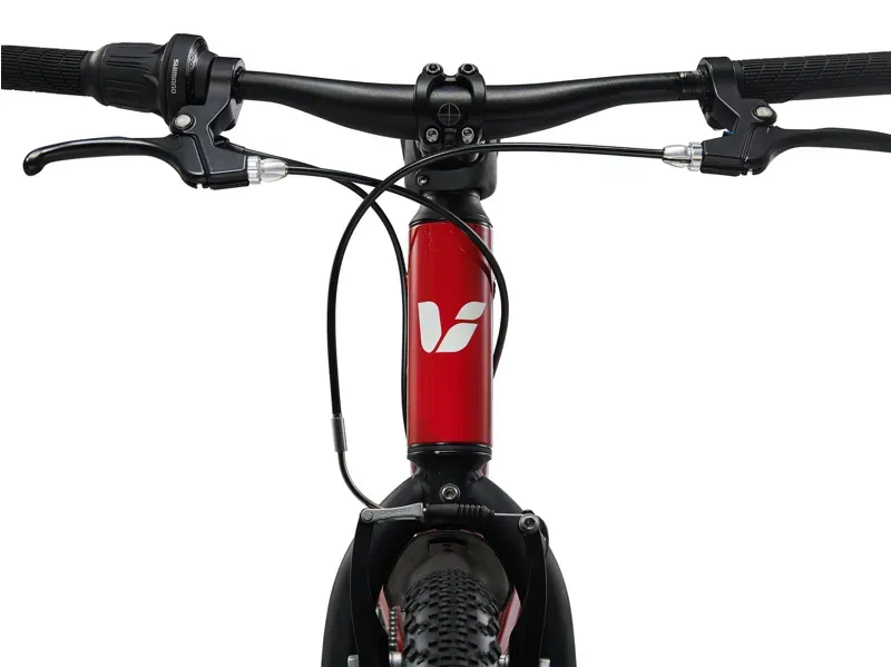 Liv Tempt 20 Lite Mountain Bike in Dried Chili-4