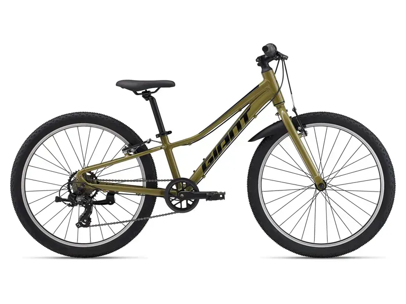Giant Talon 24 Lite Junior Mountain Bike In Bike In Dried Herb