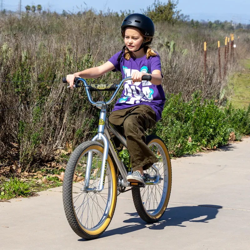SE Basher 24 Inch Wheel Silver Streak BMX Cruiser-5
