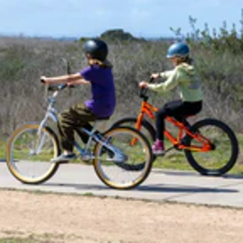 SE Basher 24 Inch Wheel Silver Streak BMX Cruiser-4