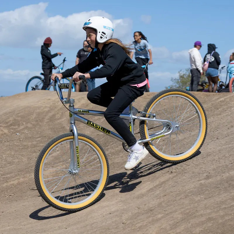 SE Basher 24 Inch Wheel Silver Streak BMX Cruiser-3