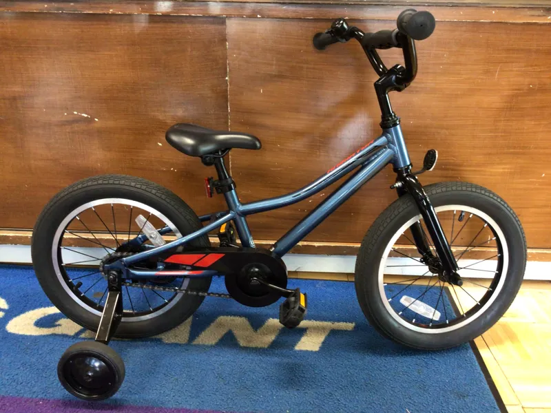 Giant Animator Boys 16 Wheel Ages 3-6 / USED - 1207