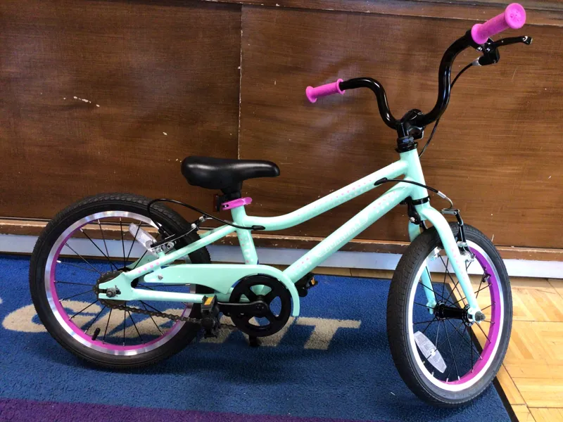 Guardian Ethos 16 Mint/Purple Ages 4-6 / USED - 1209