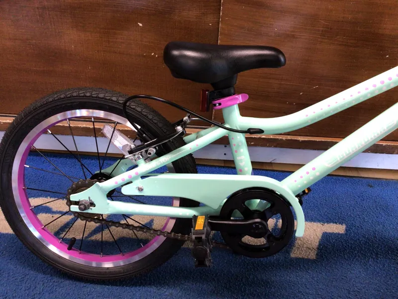 Guardian Ethos 16 Mint/Purple Ages 4-6 / USED - 1209-1