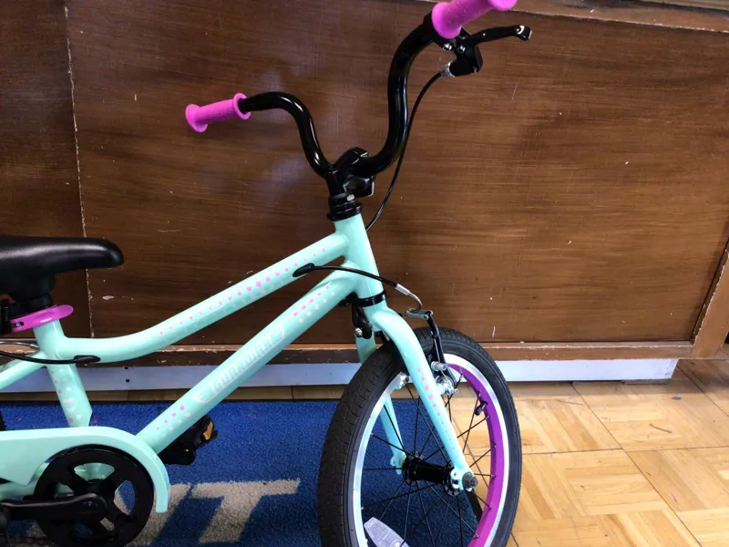Guardian Ethos 16 Mint/Purple Ages 4-6 / USED - 1209-3