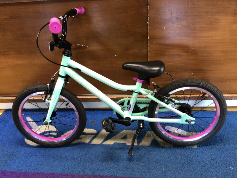Guardian Ethos 16 Mint/Purple Ages 4-6 / USED - 1209-4