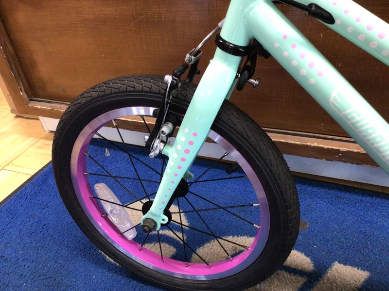 Guardian Ethos 16 Mint/Purple Ages 4-6 / USED - 1209-5
