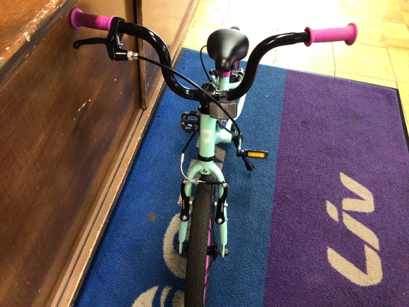 Guardian Ethos 16 Mint/Purple Ages 4-6 / USED - 1209-6