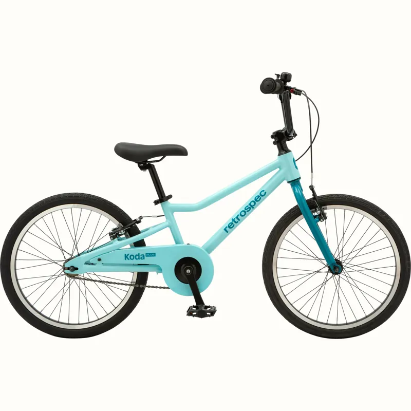Retrospec Koda Plus 20 inch wheel Robins Egg blue-1