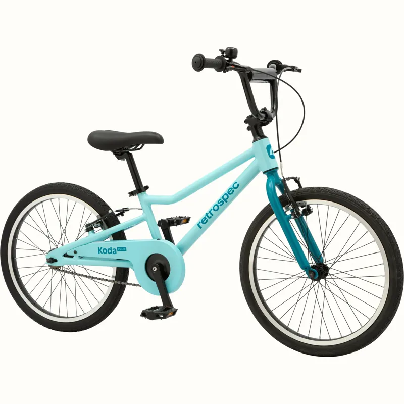 Retrospec Koda Plus 20 inch wheel Robins Egg blue-2