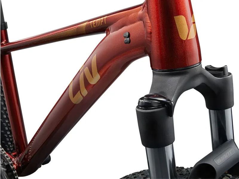 Liv Tempt 29 2 Mars Womens hardtail all terrain bicycle-4