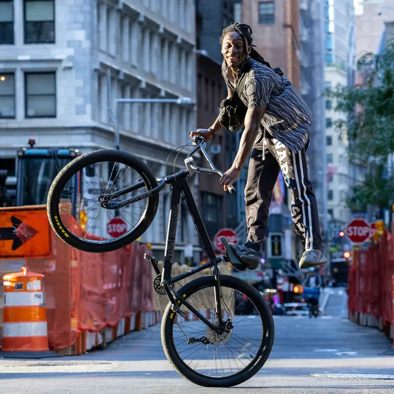 SE Savage Flyer 27. 5 Black Maiden-1